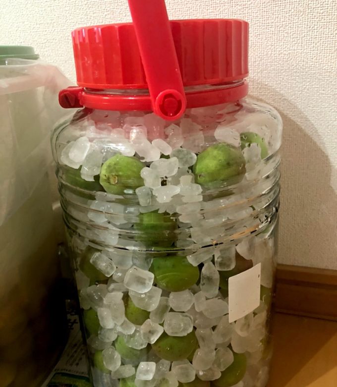 梅ジュース 酢無しで。-レシピのメイン写真