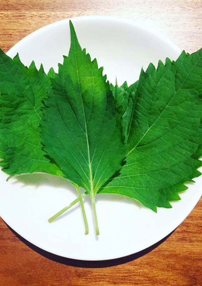 大葉の冷凍保存の方法-レシピのメイン写真