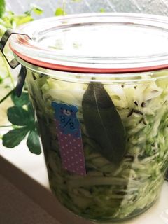 ドイツで食べていた味再現ザワークラウト-レシピのメイン写真