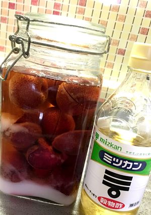 すもも酢-レシピのメイン写真