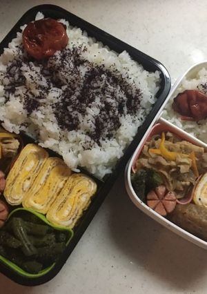 高校生お弁当（2019.6.24）-レシピのメイン写真