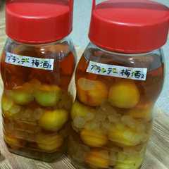 รูปของ ブランデー梅酒