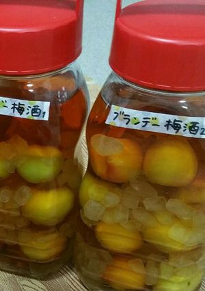 ブランデー梅酒-レシピのメイン写真