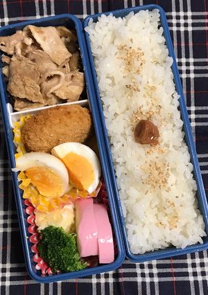 20190628マイ弁当-レシピのメイン写真