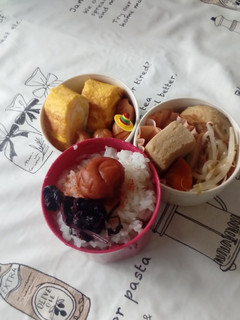 旦那ちゃんお弁当6月28日-レシピのメイン写真