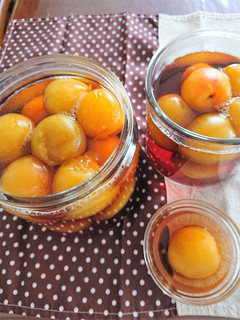南高梅の甘露煮~♪-レシピのメイン写真