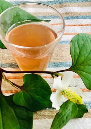 ドクダミ茶 を作る-レシピのメイン写真