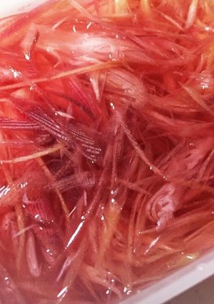ミョウガの甘酢漬け-レシピのメイン写真