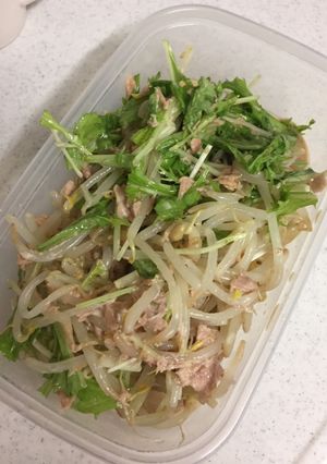 水菜ともやしのツナポンサラダ-レシピのメイン写真