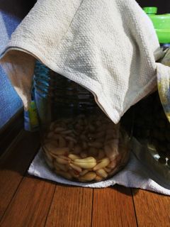 ミツカンの簡単ならっきょう漬けを参照★☆-レシピのメイン写真