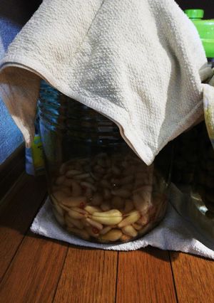 ミツカンの簡単ならっきょう漬けを参照★☆-レシピのメイン写真