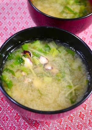 簡単！タコと小松菜のお味噌汁☆生姜風味-レシピのメイン写真