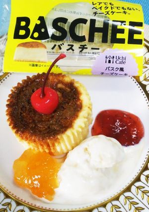 バスチー✴️アイスクリーム添えver.-レシピのメイン写真