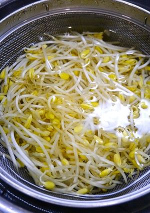 簡単！豆もやしの下処理-レシピのメイン写真