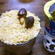キノコが生えました。