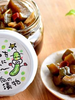 ご飯にのせて〜胡瓜の漬物-レシピのメイン写真