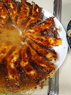 鶏むねひき肉の餃子-レシピのメイン写真