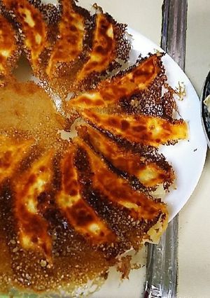 鶏むねひき肉の餃子-レシピのメイン写真
