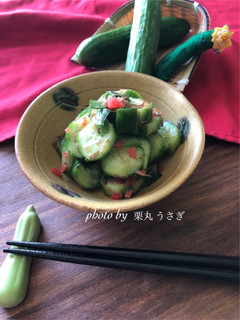簡単!きゅうりの中華風浅漬け-レシピのメイン写真