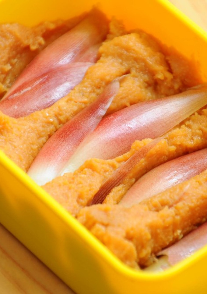 みょうがの味噌漬け-レシピのメイン写真