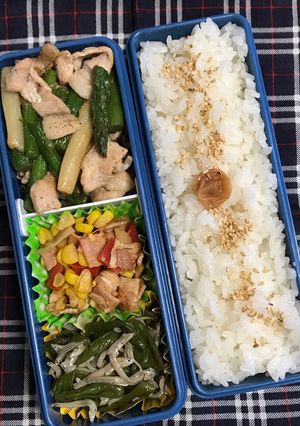 20190701マイ弁当-レシピのメイン写真