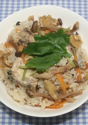 ヒルナンデス乾燥生姜と鯖缶の炊き込みご飯-レシピのメイン写真