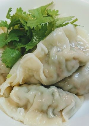 パクチー大量消費に！パクチー水餃子-レシピのメイン写真