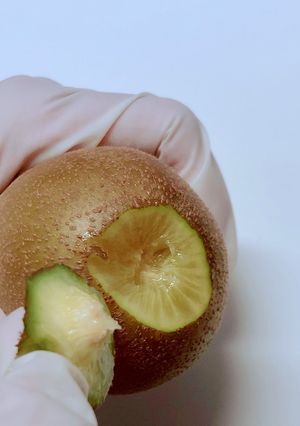簡単気持ちいい！キウイの芯を取る方法-レシピのメイン写真