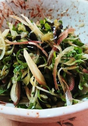 茄子で夏の一品-レシピのメイン写真