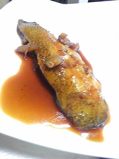 カレイを美味しく煮つけましょ(ゝω・♥)-レシピのメイン写真