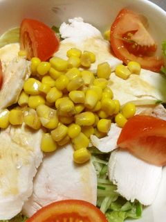 冷やし豆乳味噌ラーメン-レシピのメイン写真