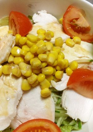 冷やし豆乳味噌ラーメン-レシピのメイン写真