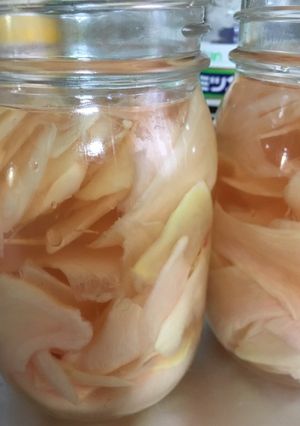 新しょうがの甘すぎない甘酢漬け-レシピのメイン写真