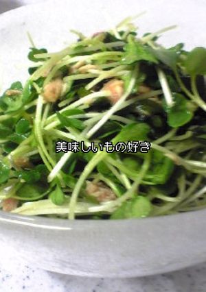 超簡単！貝割れサラダ-レシピのメイン写真