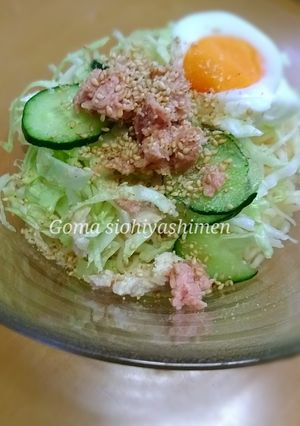 ごま香る冷やし麺-レシピのメイン写真