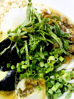 揚げなすの冷しうどん☆なめこおろしと-レシピのメイン写真