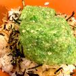 オクラ丼