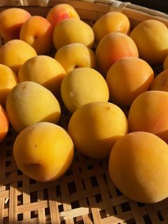 簡単!美味しい!梅干しの作り方☆漬け方-レシピのメイン写真