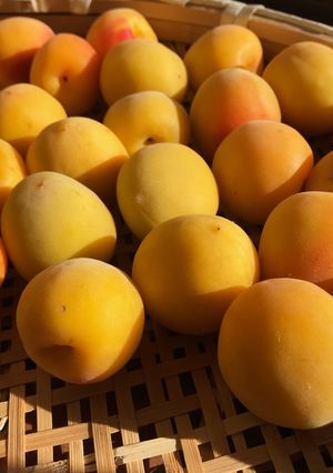 簡単！美味しい！梅干しの作り方☆漬け方-レシピのメイン写真