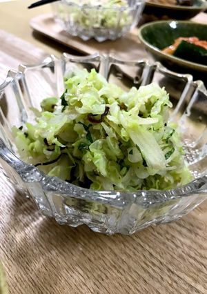 湯通しキャベツと塩こぶ和え-レシピのメイン写真