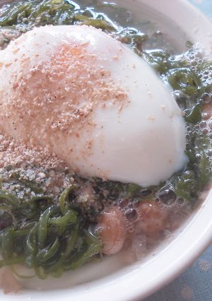 とろとろ三昧♪一人ランチのあったかうどん-レシピのメイン写真