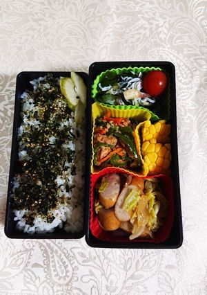 野菜中心のヘルシーなお弁当です-レシピのメイン写真