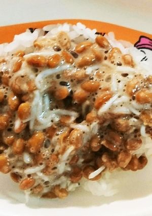 魚嫌いのお子さんに☆納豆しらす丼-レシピのメイン写真