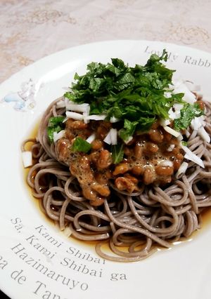 夏の暑い日に♡のどごし最高！納豆そば-レシピのメイン写真