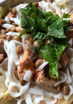 納豆と鮭のサラダうどん-レシピのメイン写真