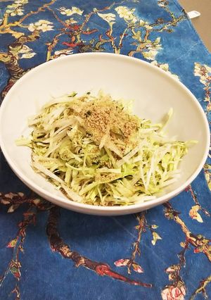 キャベツと大根と胡瓜の胡麻風味サラダ-レシピのメイン写真