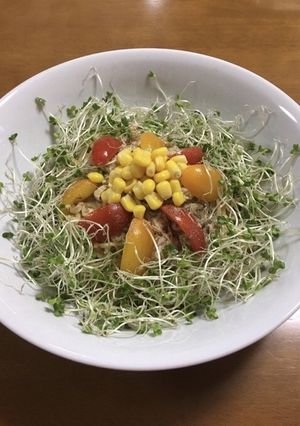 汁なし和え麺☆サバ缶野菜のオリーブオイル-レシピのメイン写真