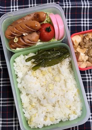 20190704マイ弁当-レシピのメイン写真