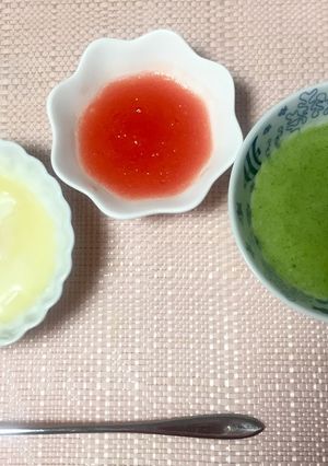 お年寄りのミキサー食 いろいろ(介護食)-レシピのメイン写真