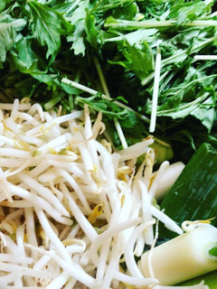 野菜たっぷり鍋-レシピのメイン写真